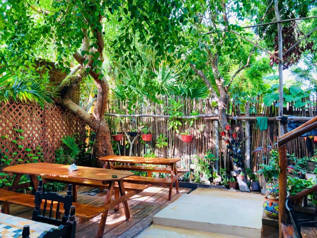Hostal Holbox Ilha Holbox Exterior foto
